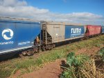 RUMO HTT-845095-1